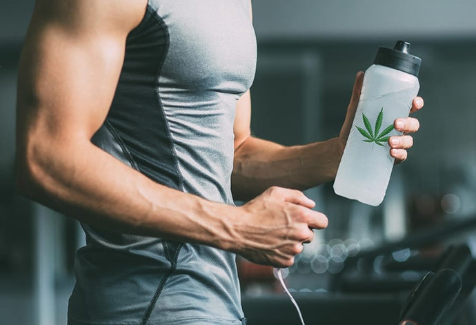 CBD for Athletes