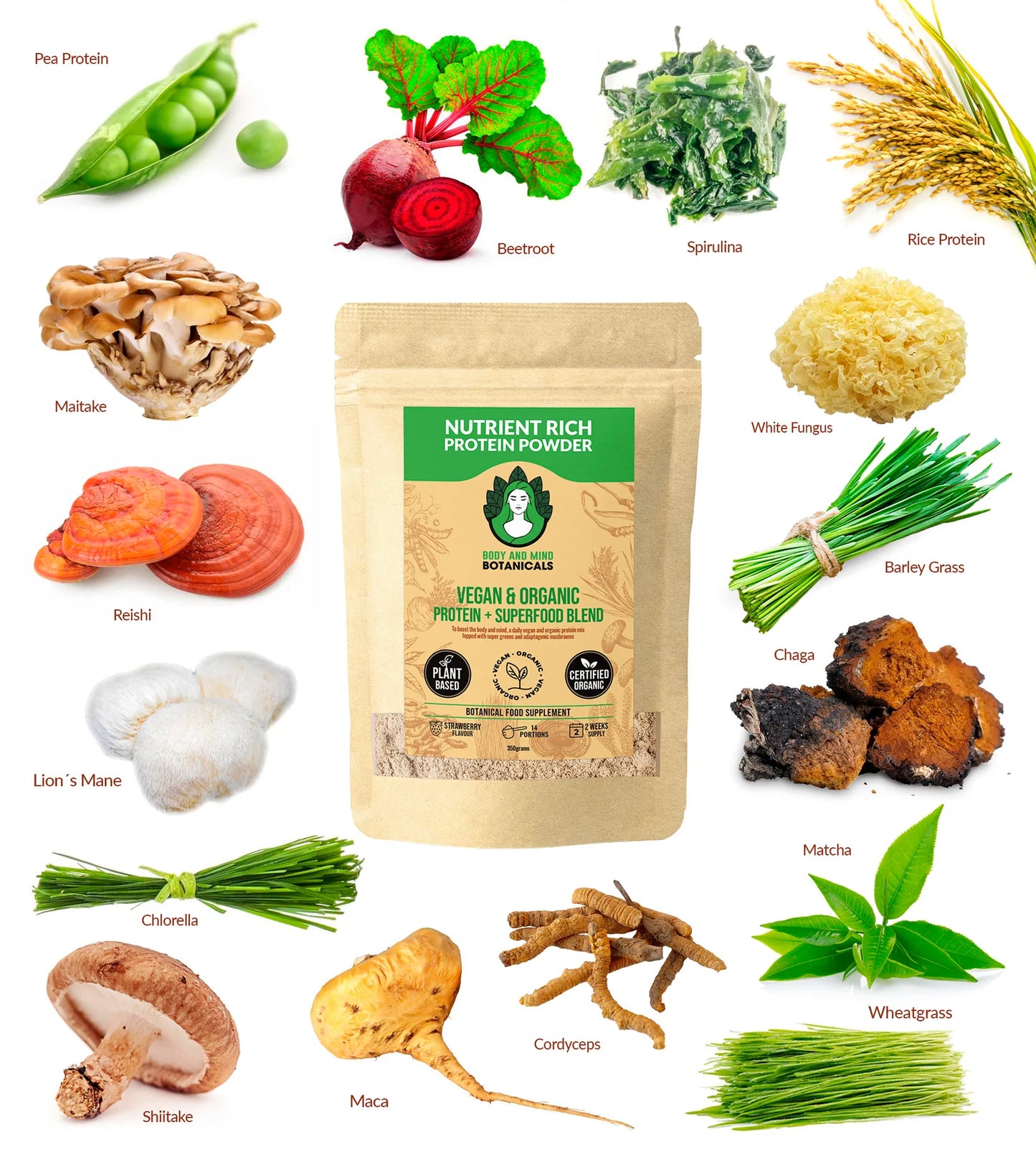 Vegan & Organic Protein Powder + Superfood Blend 350g